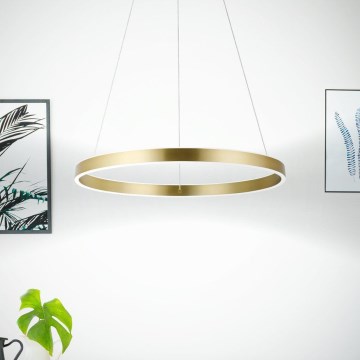 Eglo 33484 - LED-riippuvalaisin ALCAZABA vaijerilla, 2 x LED, 18 W, 230 V, 3000 K, Ø 55 cm, kulta