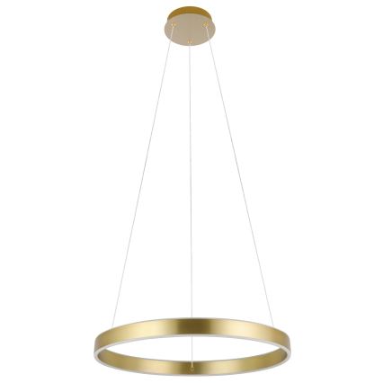 Eglo 33484 - LED-riippuvalaisin ALCAZABA vaijerilla, 2 x LED, 18 W, 230 V, 3000 K, Ø 55 cm, kulta