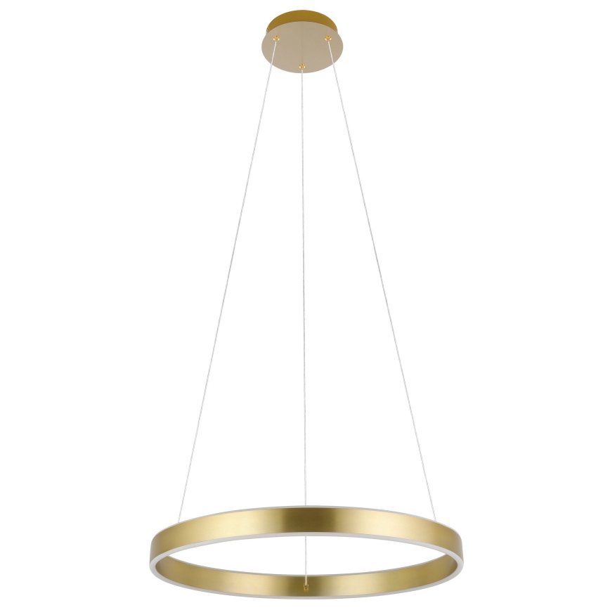 Eglo 33484 - LED-riippuvalaisin ALCAZABA vaijerilla, 2 x LED, 18 W, 230 V, 3000 K, Ø 55 cm, kulta