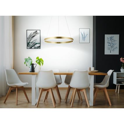 Eglo 33484 - LED-riippuvalaisin ALCAZABA vaijerilla, 2 x LED, 18 W, 230 V, 3000 K, Ø 55 cm, kulta