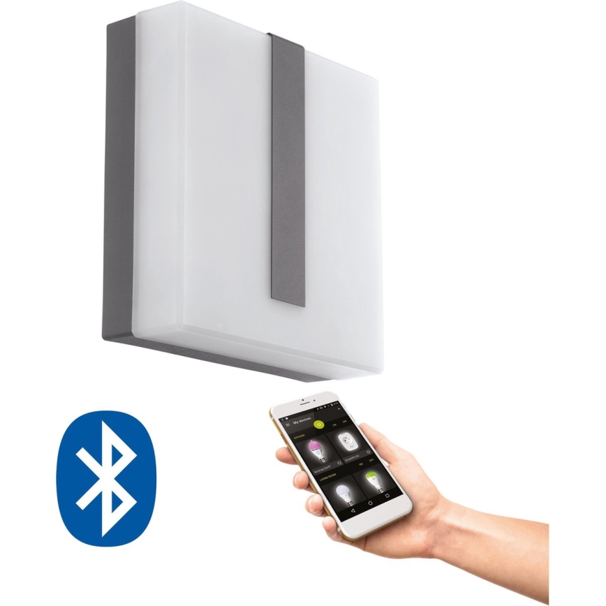 Eglo 33574 - LED himmennettävä ulkokäyttöön tarkoitettu seinävalaisin TORAZZA-C LED/14W/230V IP44
