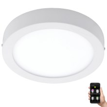 Eglo 33575 - Himmennettävä LED-valaisin kylpyhuoneeseen ARGOLIS-C LED/16,5W/230V IP44 valkoinen