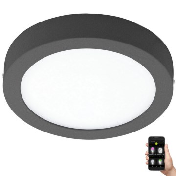 Eglo 33577 - LED himmennettävä kattovalaisin ARGOLIS-C LED/16,5W/230V IP44 antrasiitti