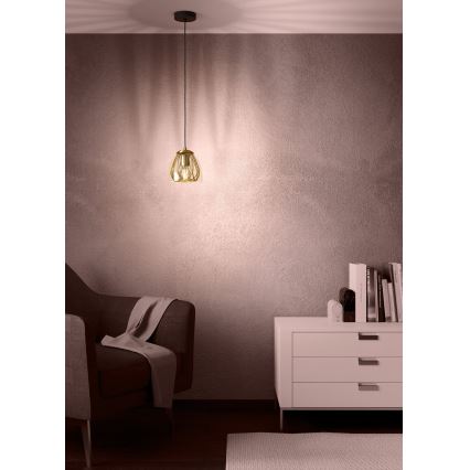 Eglo - Kattokruunu johdossa 1xE27/40W/230V kulta