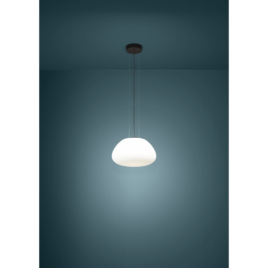 Eglo - Kattokruunu johdossa 1xE27/40W/230V musta