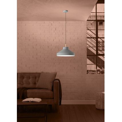 Eglo - Kattokruunu johdossa 1xE27/40W/230V harmaa