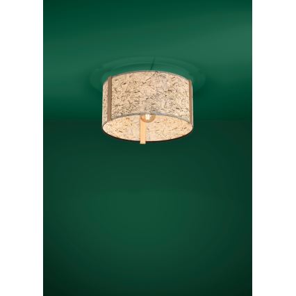 Eglo - Kattovalo 1xE27/25W/230V beige