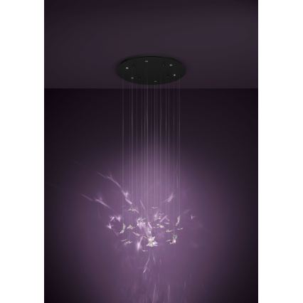 Eglo - LED Himmennettävä riippuvalaisin kaapelilla 6xLED/4,2W/230V musta/läpinäkyvä