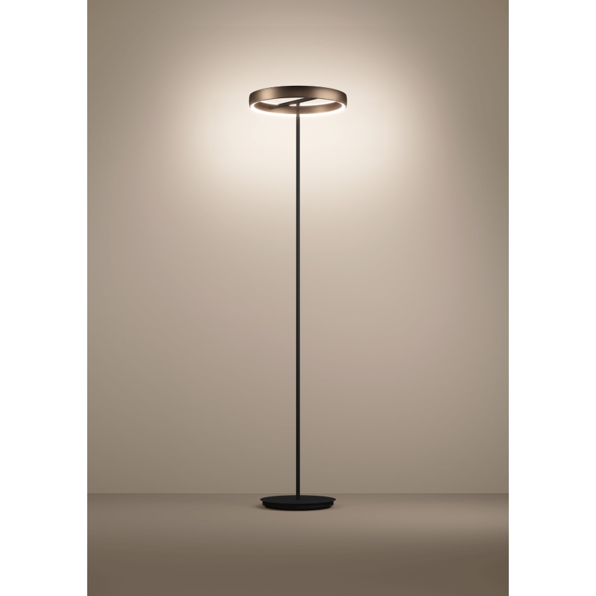 Eglo - himmennettävä LED-lattiavalaisin liiketunnistimella 2xLED/19W/230V 2200-6500K ruskea