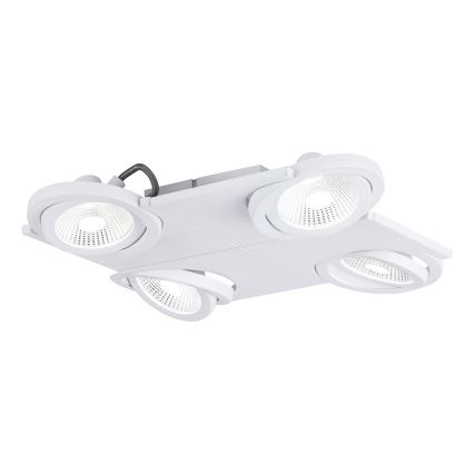 Eglo 39136 - LED-kohdevalaisin BREA 4xLED/5W/230V/12V