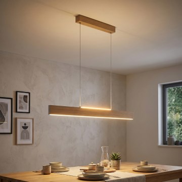 Eglo 39344 - LED-riippuvalaisin vaijerilla CLIMENE LED/17W/230V + LED/4,2W tammi