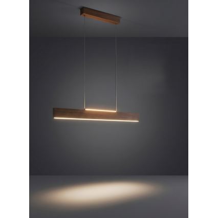 Eglo - LED-riippuvalaisin vaijerilla LED/17W/230V + LED/4,2W pähkinänvärinen