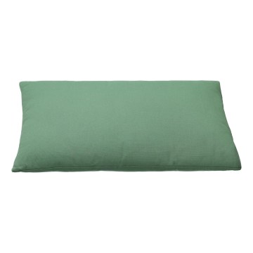 Eglo 420025 - Koristetyyny ILES 30x50 cm vihreä