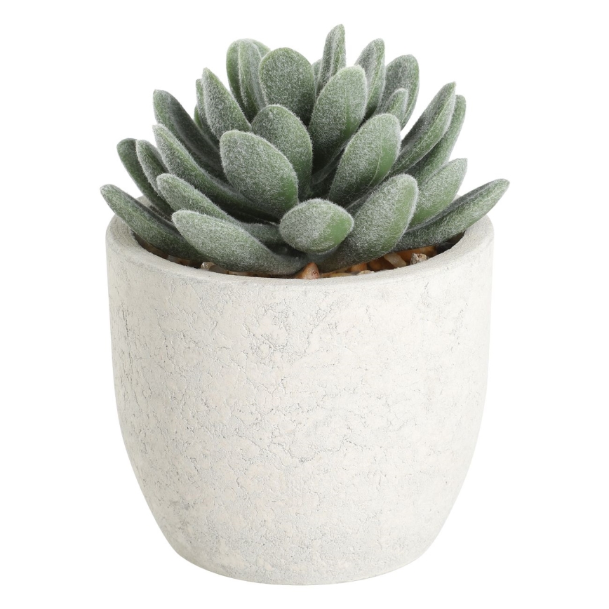 Eglo - Tekokasvi ruukussa 11x8 cm mehikasvi