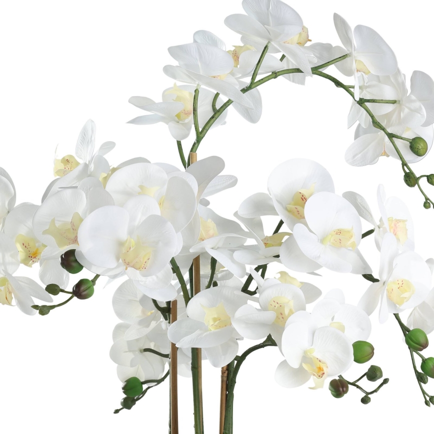 Eglo - Tekokasvi ruukussa 65x50 cm orkidea