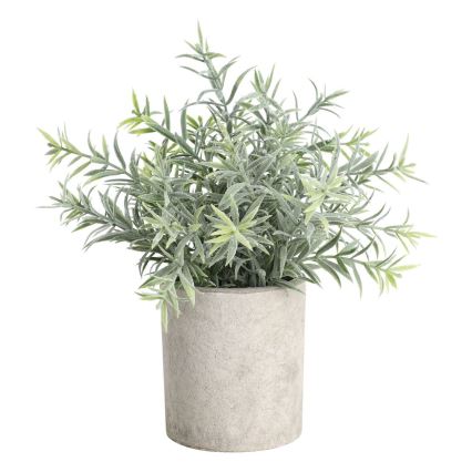 Eglo - Tekokasvi ruukussa 24x16 cm