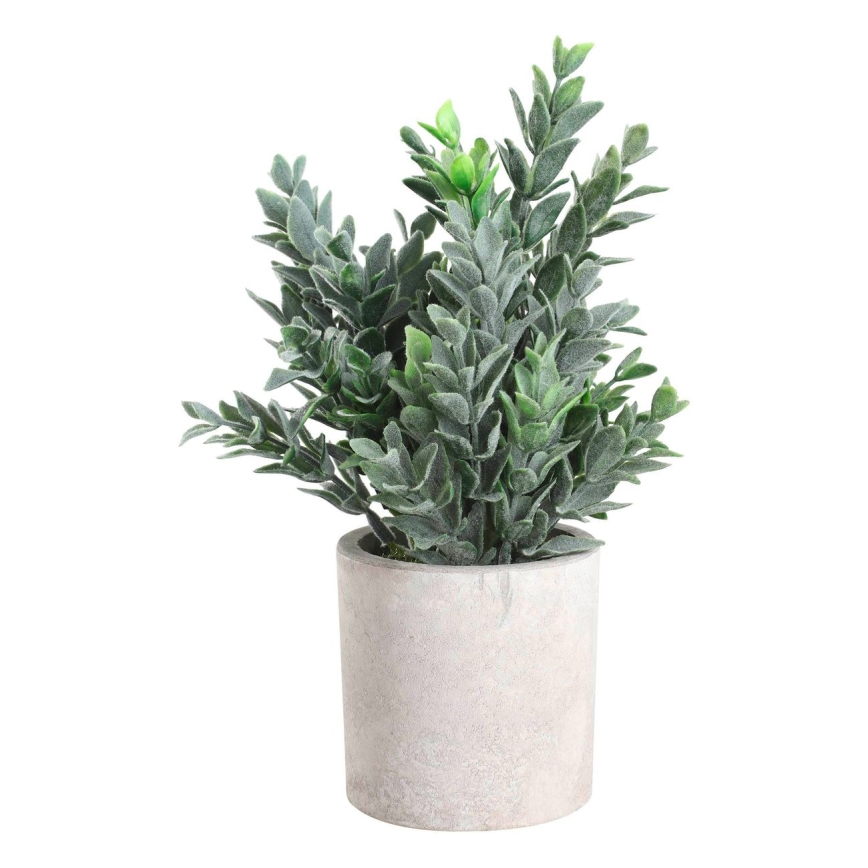 Eglo - Tekokasvi ruukussa 22x16 cm