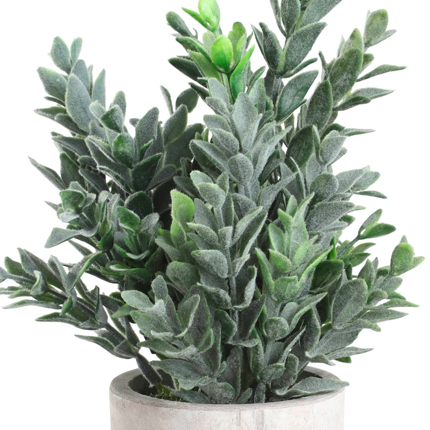 Eglo - Tekokasvi ruukussa 22x16 cm