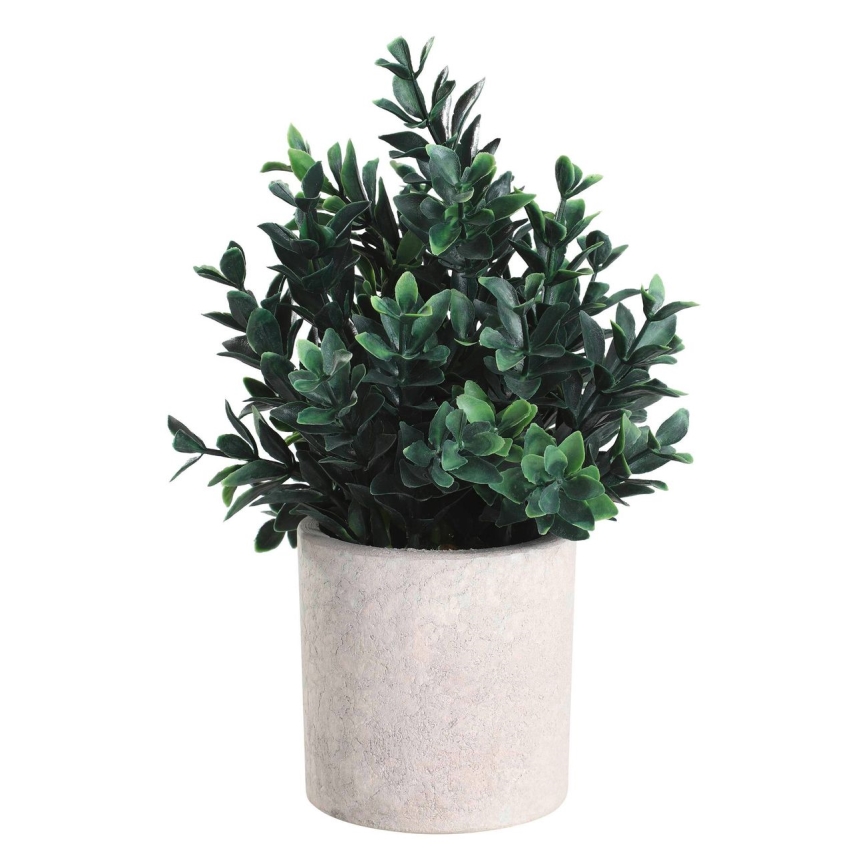 Eglo - Tekokasvi ruukussa 23x18 cm