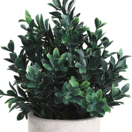 Eglo - Tekokasvi ruukussa 23x18 cm