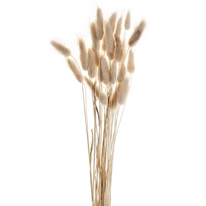 Eglo - kuivakukka 60 cm beige