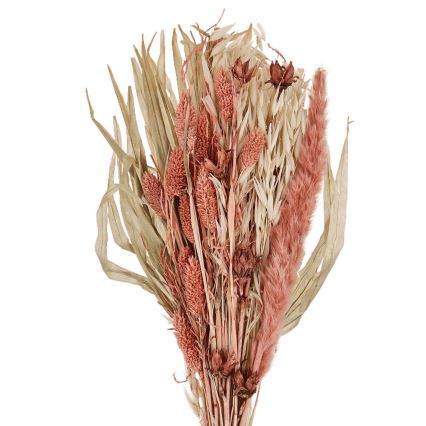 Eglo - kuivakukka 60 cm oranssi