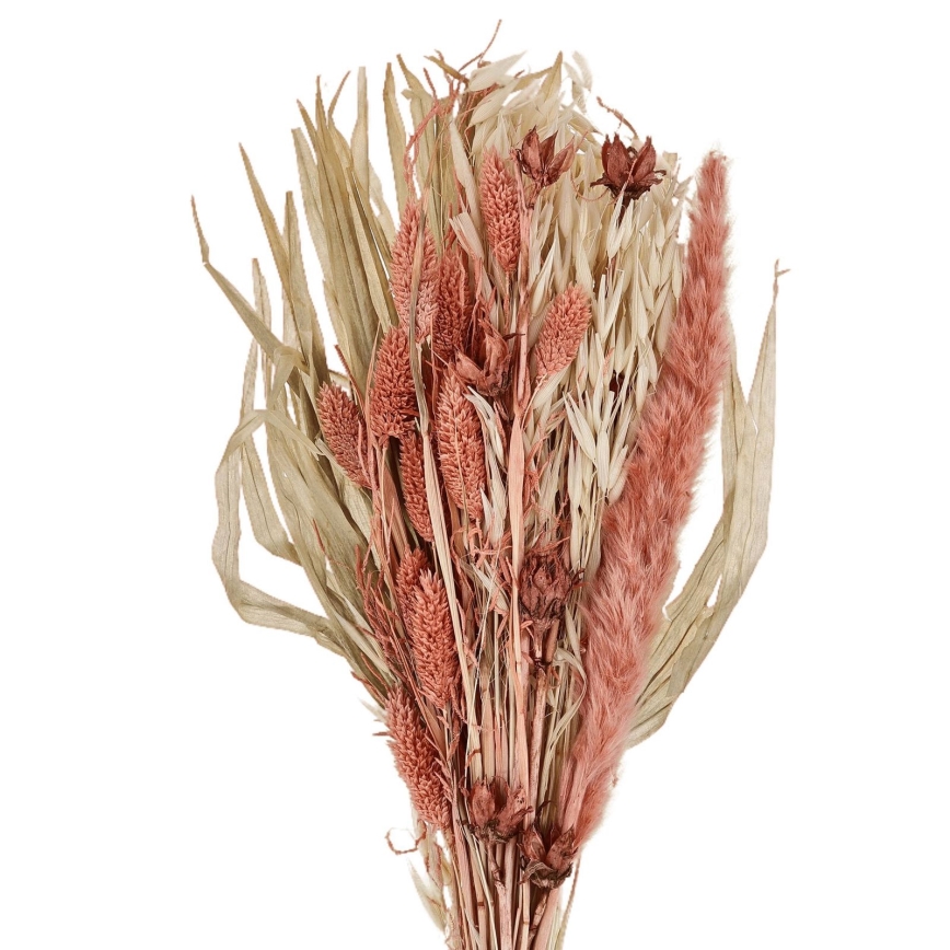 Eglo - kuivakukka 60 cm oranssi