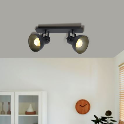 Eglo 43432 - Kohdevalo BARNSTAPLE 2 2xE27/40W/230V