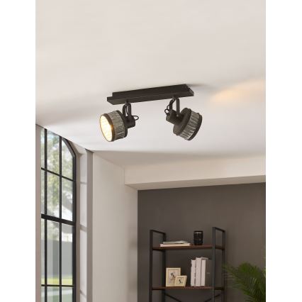 Eglo 43445 - Kohdevalaisin TURROCK 2xE27/28W/230V
