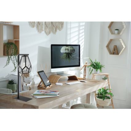 Eglo - Pöytälamppu 1xE27/40W/230V