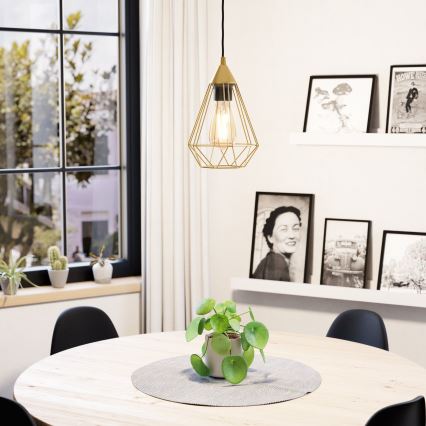 Eglo - Kattokruunu johdossa 1xE27/60W/230V d. 17,5 cm