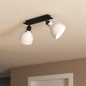 Eglo 43828 - Kohdevalo MATLOCK 2xE27/40W/230V