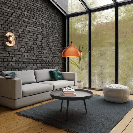 Eglo 49449 - Kattokruunu HAPTON 1xE27/60W/230V