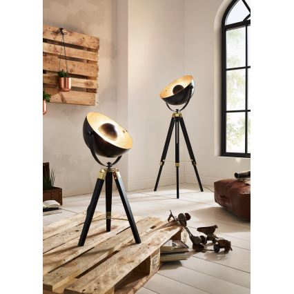 Eglo 49618 - Lattialamppu COVALEDA 1xE27/60W/230V