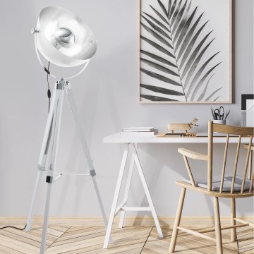 Eglo 49877 - Lattialamppu COVALEDA 1xE27/60W/230V