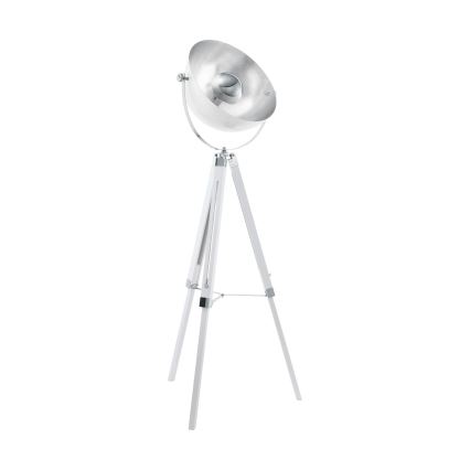Eglo 49877 - Lattialamppu COVALEDA 1xE27/60W/230V
