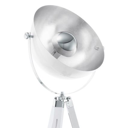 Eglo 49877 - Lattialamppu COVALEDA 1xE27/60W/230V