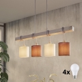 Eglo 55206 - LED-riippuvalaisin kaapelikiinnityksellä TOWNSHEND 4xE27/60W/230V