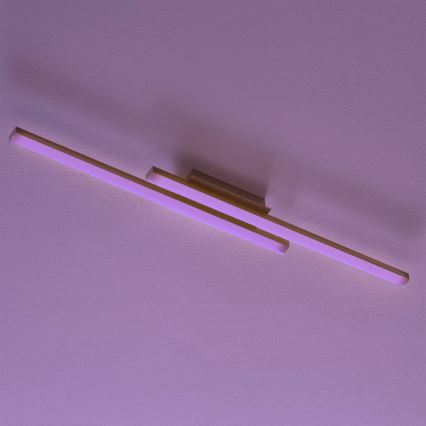 Eglo 55971 - FRAIOLI-C LED RGBW himmennettävä kattovalaisin LED/34W/230V 2700-6500K mattakromi + kaukosäädin