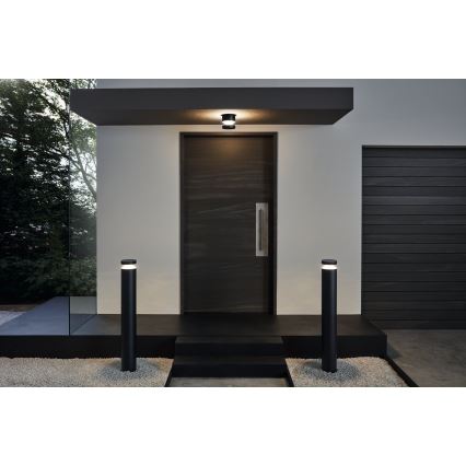 Eglo 65038 - LED-ulkoseinävalaisin MELZO PRO LED/11W/230V 3000K IP44 musta