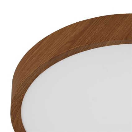 Eglo - LED Kattovalaisin LED/14,6W/230V