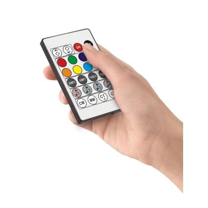 Eglo - LED RGB Himmennettävä lattialamppu LED/13,5W/230V 2700-6500K + kaukosäädin