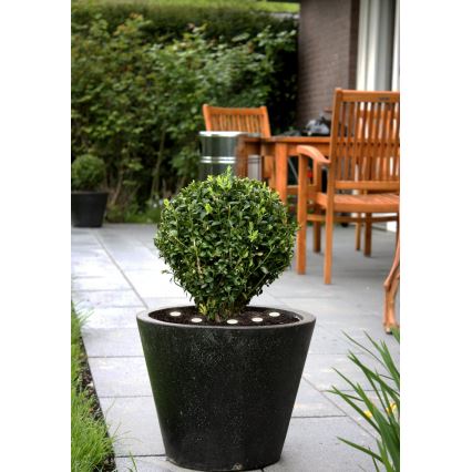 Eglo - LED ulkokäyttöön koristeellinen ketju SPINETOLI 6xLED IP65