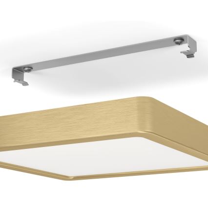 Eglo - LED-kattovalaisin LED/17W/230V 21x21 cm