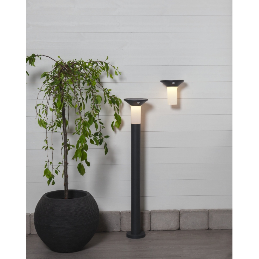 Eglo - LED Ulkovalaistus aurinkopaneelilla, jossa on anturi 6xLED/0,03W/3,7V 1500 mAh IP44