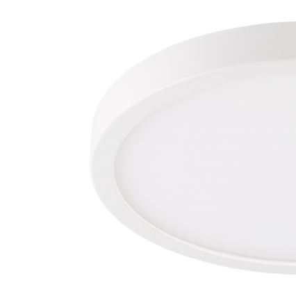Eglo - LED Kylpyhuoneen kattovalo LED/20,5W/230V IP44 valkoinen