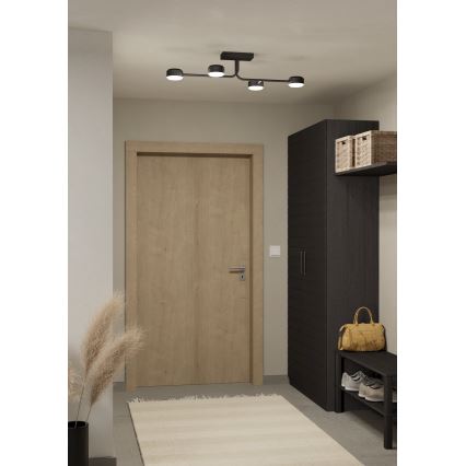 Eglo - LED-himmennettävä pinta-asennettava kattokruunu 4xLED/6,8W/230V