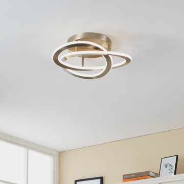 Eglo 900419 - LED-kattovalaisin ROLIMARE LED/35W/230V