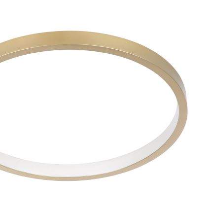 Eglo - LED Himmennettävä kattovalaisin LED/15W/230V kulta + kaukosäädin