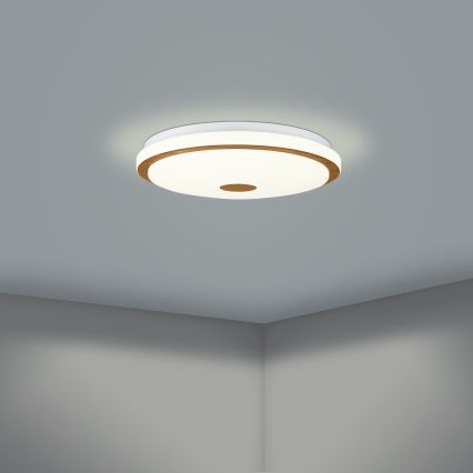 Eglo - LED Himmennettävä kattovalaisin LED/24W/230V + kaukosäädin